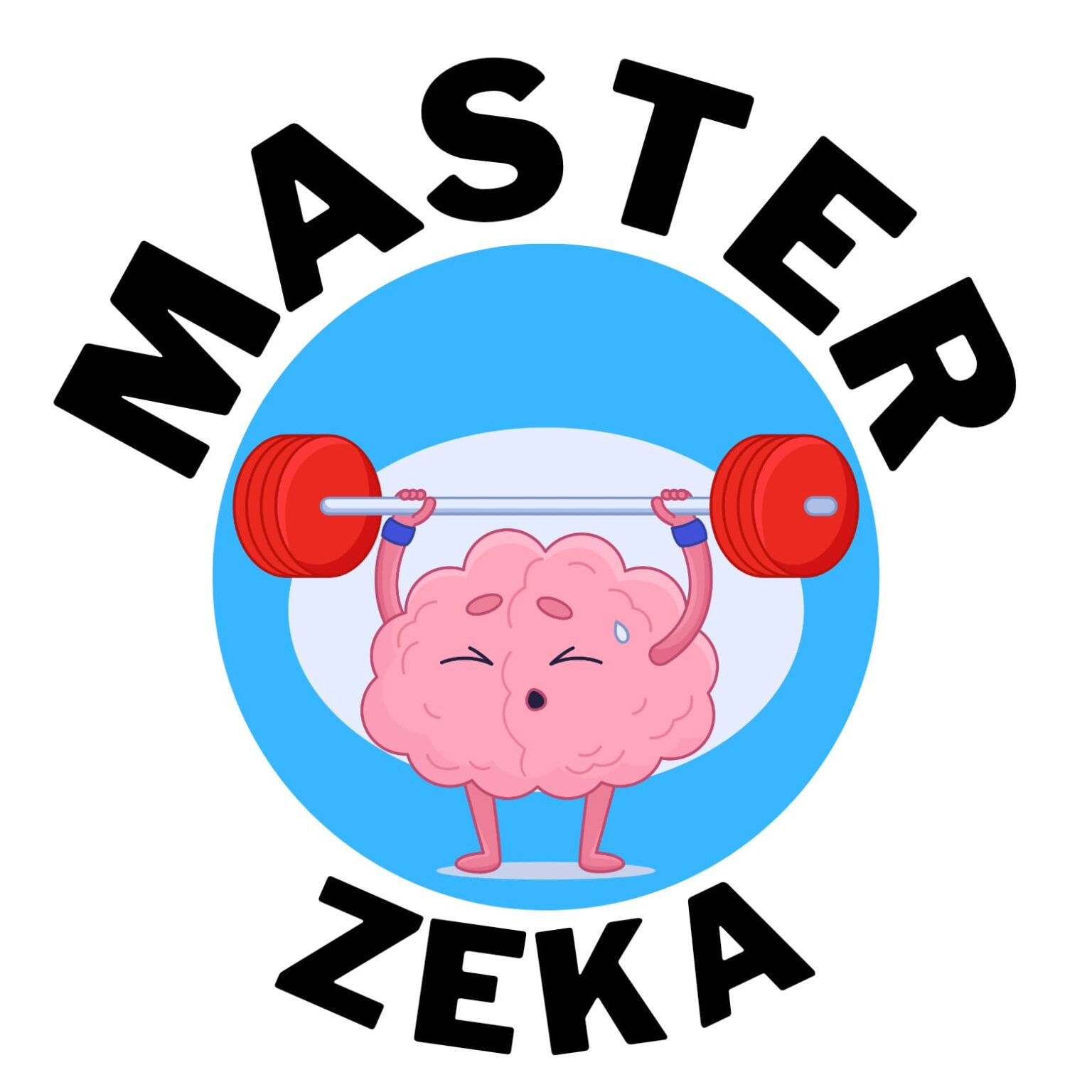 MasterZeka — Zkitap logosu